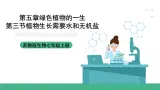 苏教版生物七上3.5.3《植物生长需要水和无机盐》课件