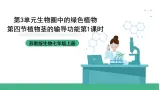 苏教版生物七上3.5.4《植物茎的输导功能》第1课时 课件