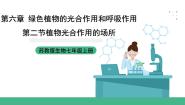 初中生物苏教版（2024）七年级上册第3单元 生物圈中的绿色植物第6章 绿色植物的光合作用和呼吸作用第二节 植物光合作用的场所完美版ppt课件