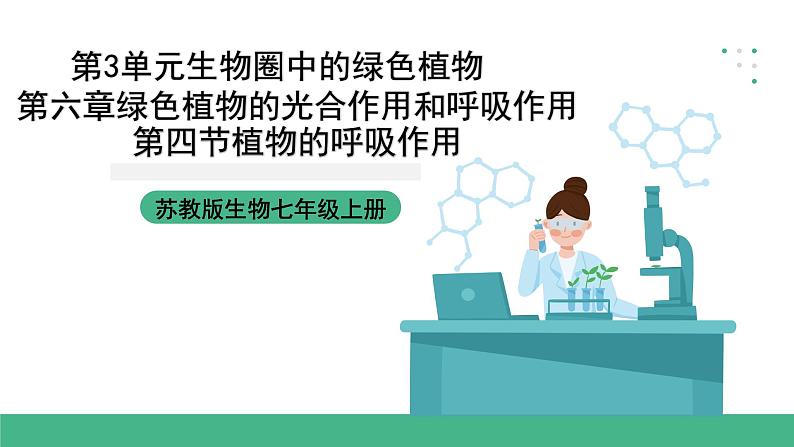 苏教版生物七上3.6.4《植物的呼吸作用》课件第1页