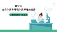 苏教版（2024）七年级上册第五节 光合作用和呼吸作用原理的应用优质ppt课件