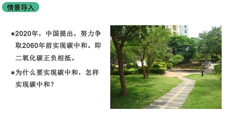 苏教版生物七上7.2《 绿色植物与生物圈的物质循环》课件第3页