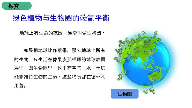 苏教版生物七上7.2《 绿色植物与生物圈的物质循环》课件第4页