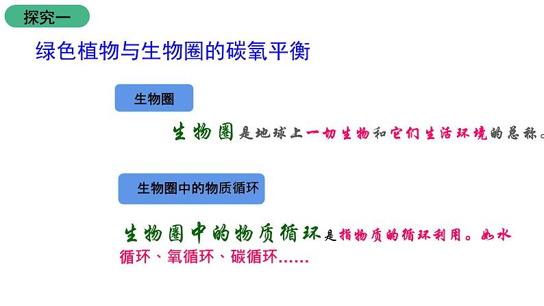 苏教版生物七上7.2《 绿色植物与生物圈的物质循环》课件第5页