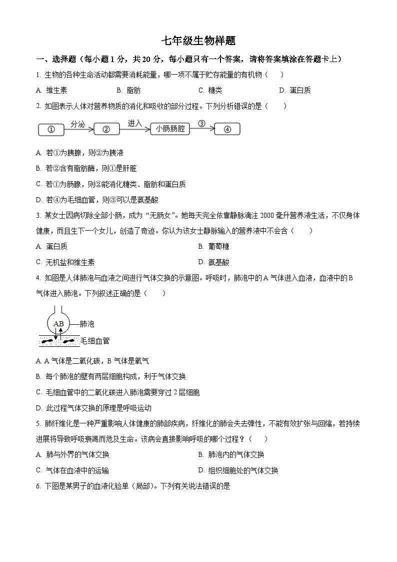 山东省菏泽市定陶区2023-2024学年七年级下学期期末生物学试题(原卷版+解析版)01