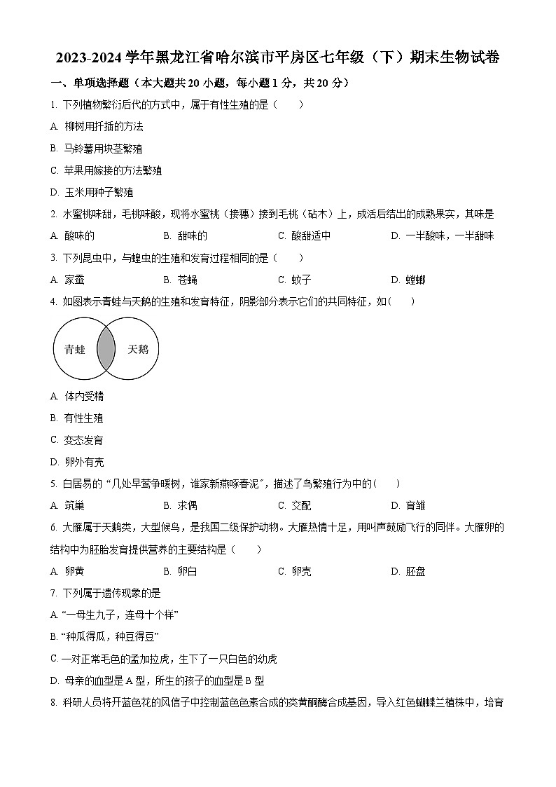 黑龙江省哈尔滨市平房区2023-2024学年七年级下学期期末生物学试题(原卷版+解析版)01