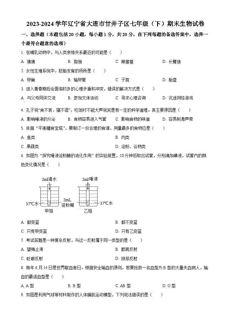 辽宁省大连市甘井子区2023-2024学年七年级下学期期末生物学试题(原卷版)第1页
