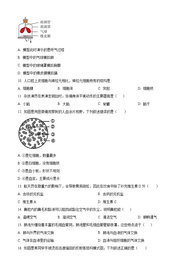 辽宁省大连市甘井子区2023-2024学年七年级下学期期末生物学试题(原卷版)第2页