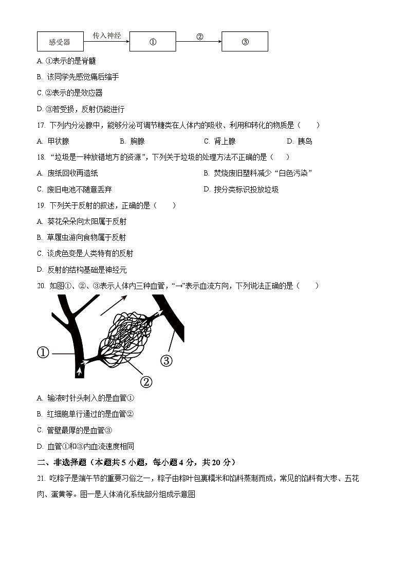 辽宁省大连市甘井子区2023-2024学年七年级下学期期末生物学试题(原卷版)第3页