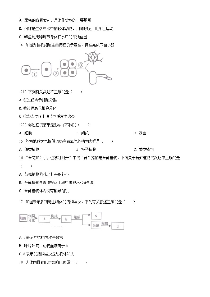 江苏省淮安市清江浦区2023-2024学年七年级下学期期末生物试题(原卷版)第3页