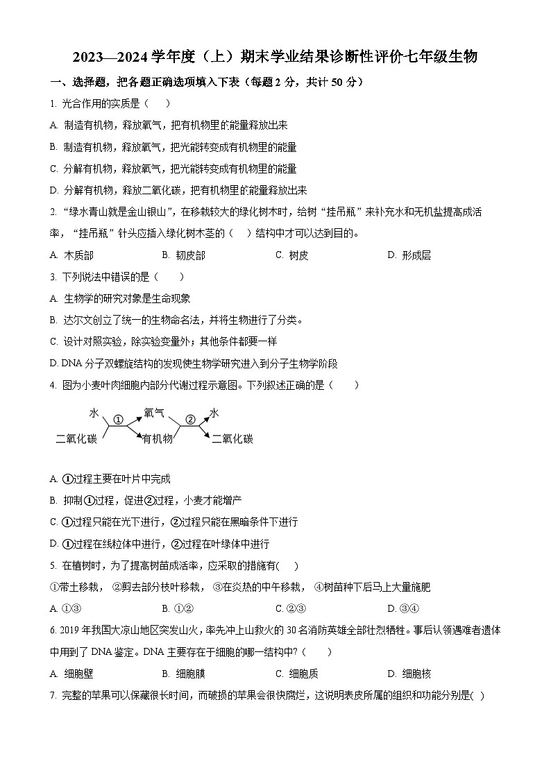 安徽省阜阳市界首市2023-2024学年七年级上学期期末生物学试题(原卷版)第1页