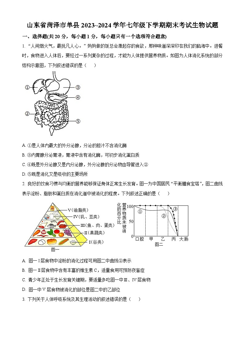 山东省菏泽市单县2023-2024学年七年级下学期期末生物试题(原卷版)01