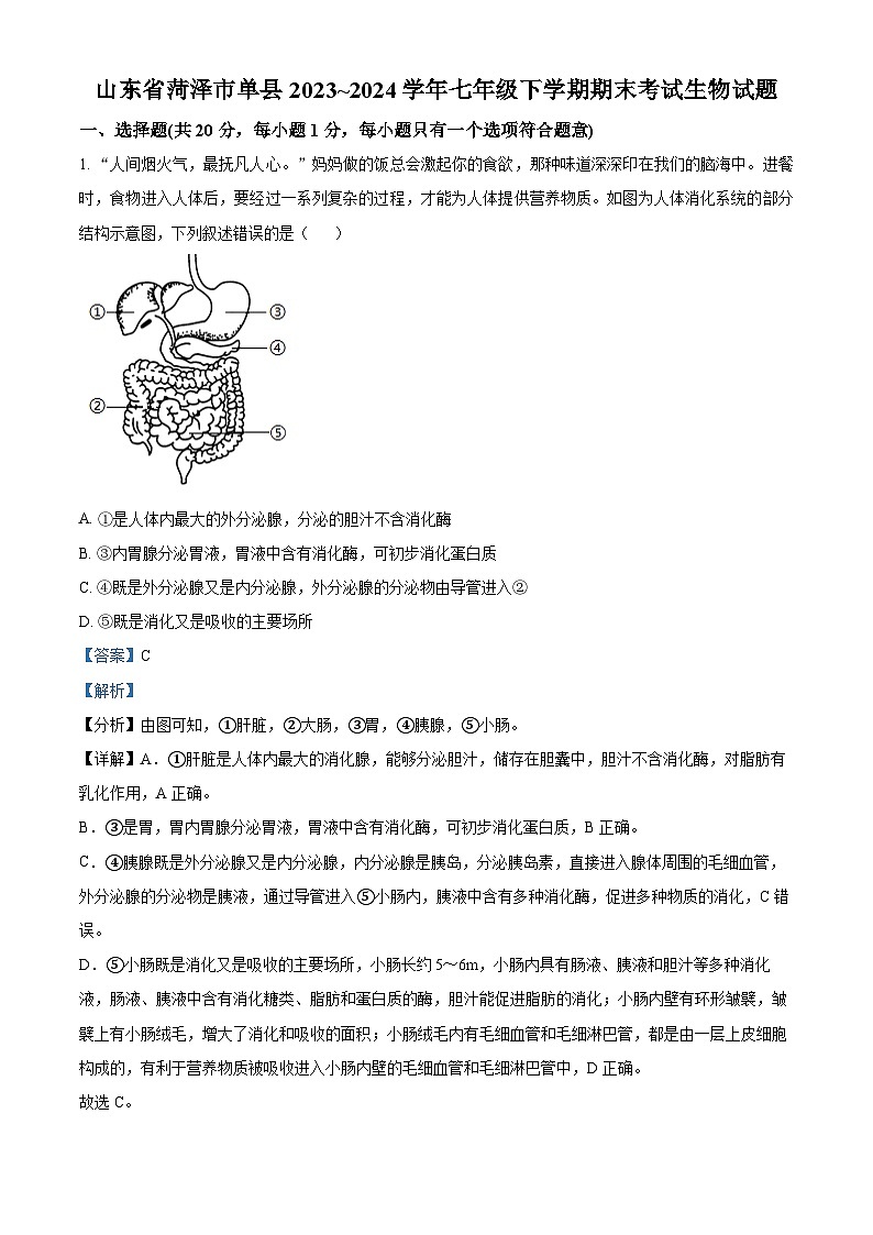 山东省菏泽市单县2023-2024学年七年级下学期期末生物试题(解析版)第1页