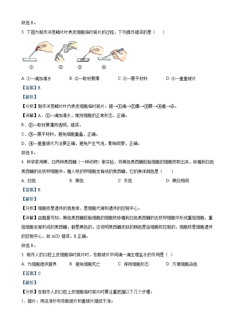 江苏省宿迁市泗阳县2023-2024学年七年级下学期期末生物试题(解析版)第2页