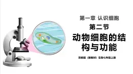 【新教材】蘇教版生物七年級上冊1.1.2動(dòng)物細(xì)胞的結(jié)構(gòu)與功能 課件+學(xué)案（含答案）