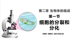 【新教材】蘇教版生物七年級上冊1.2.1細(xì)胞的分裂和分化 課件+學(xué)案（含答案）