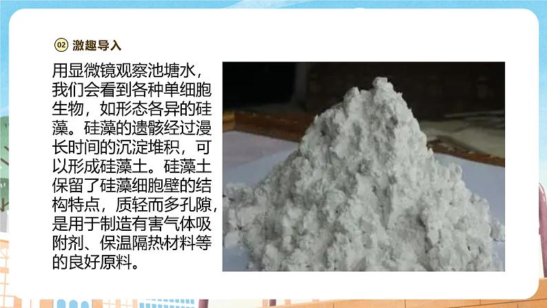 【新教材】苏教版生物七年级上册1.2.2 单细胞生物 课件+学案(含答案)03