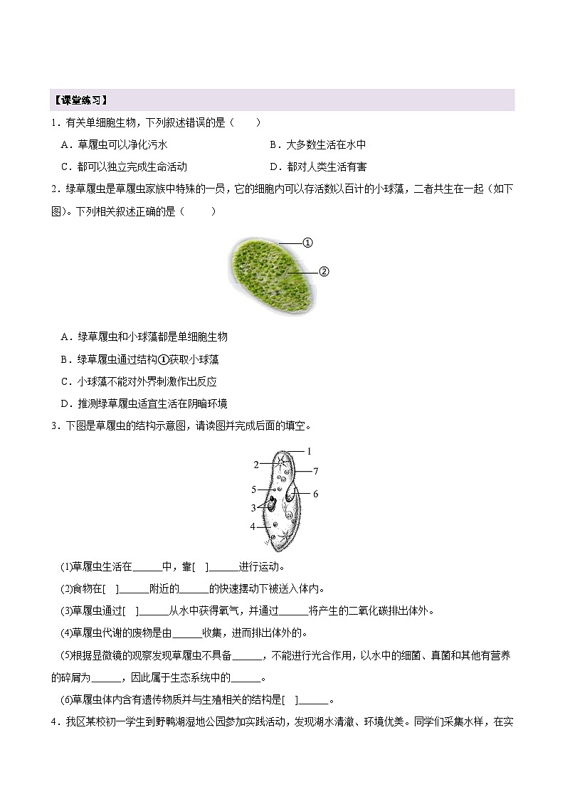 【新教材】苏教版生物七年级上册1.2.2 单细胞生物 课件+学案(含答案)03