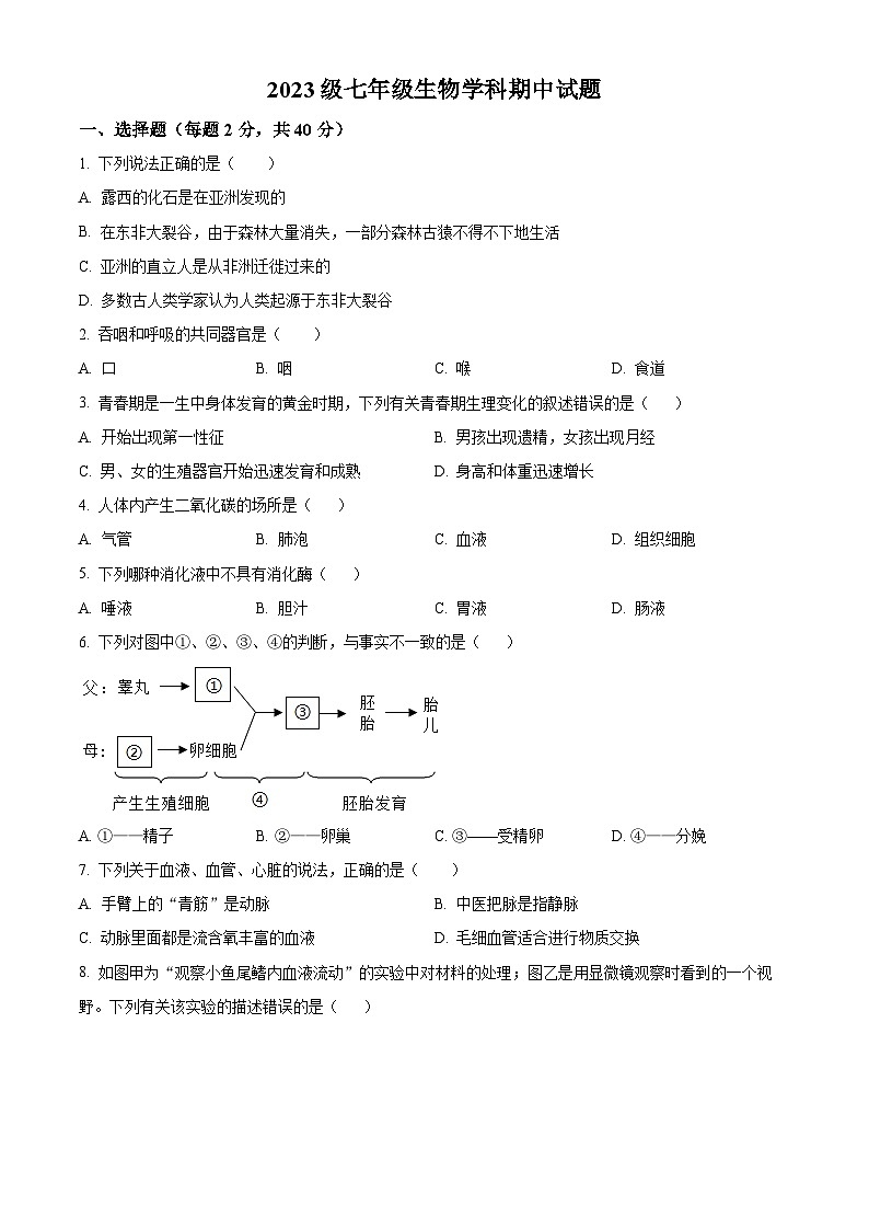 四川省眉山市仁寿县仁寿实验中学2023-2024学年七年级下学期期中生物学试题(原卷版)第1页