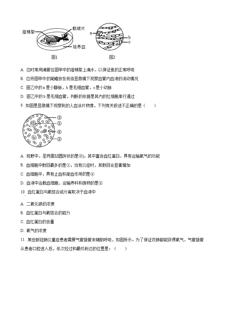 四川省眉山市仁寿县仁寿实验中学2023-2024学年七年级下学期期中生物学试题(原卷版)第2页