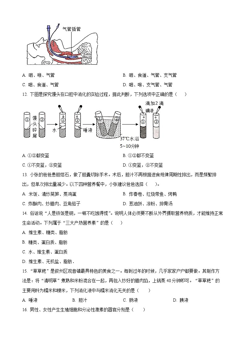 四川省眉山市仁寿县仁寿实验中学2023-2024学年七年级下学期期中生物学试题(原卷版)第3页