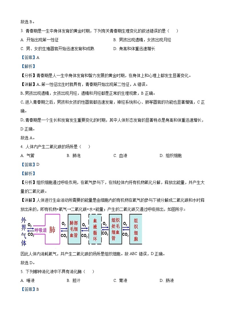 四川省眉山市仁寿县仁寿实验中学2023-2024学年七年级下学期期中生物学试题(解析版)第2页