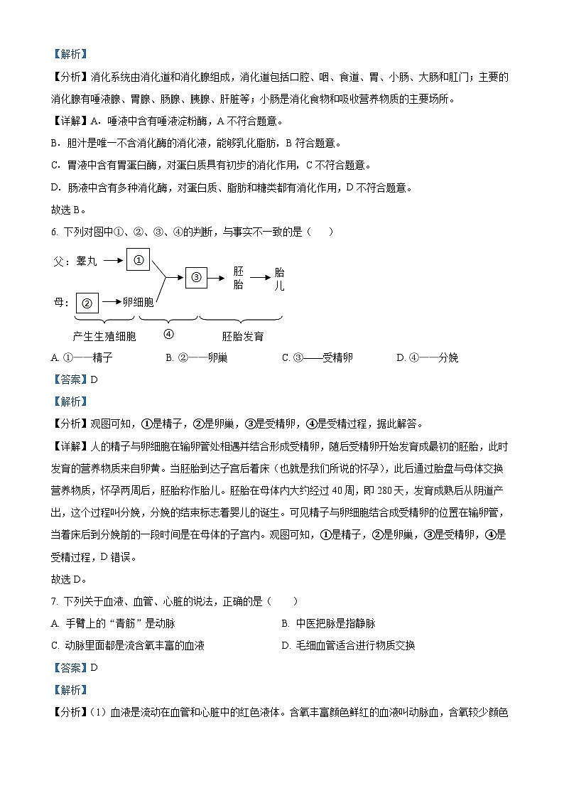 四川省眉山市仁寿县仁寿实验中学2023-2024学年七年级下学期期中生物学试题(解析版)第3页