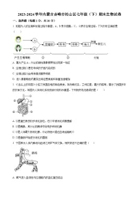 内蒙古赤峰市松山区2023-2024学年七年级下学期期末生物学试题（原卷版+解析版）