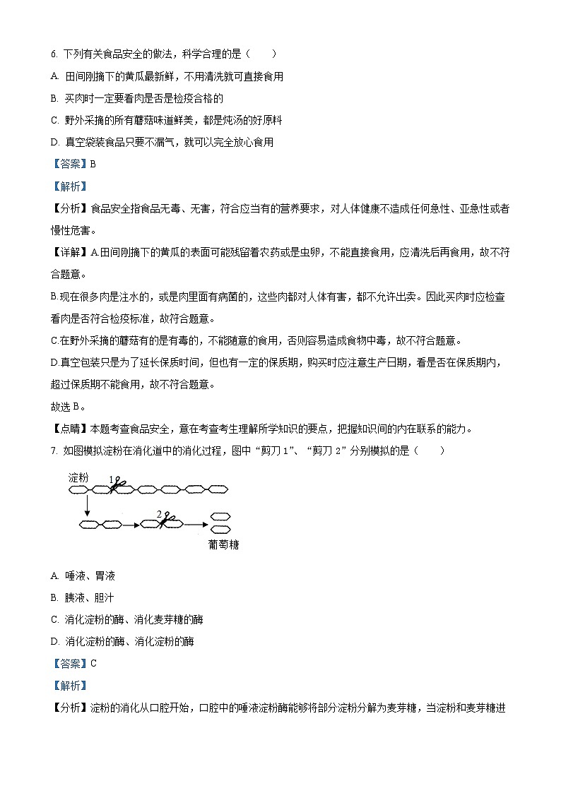 吉林省白山市江源区2023-2024学年七年级下学期期末生物学试题(解析版)第3页