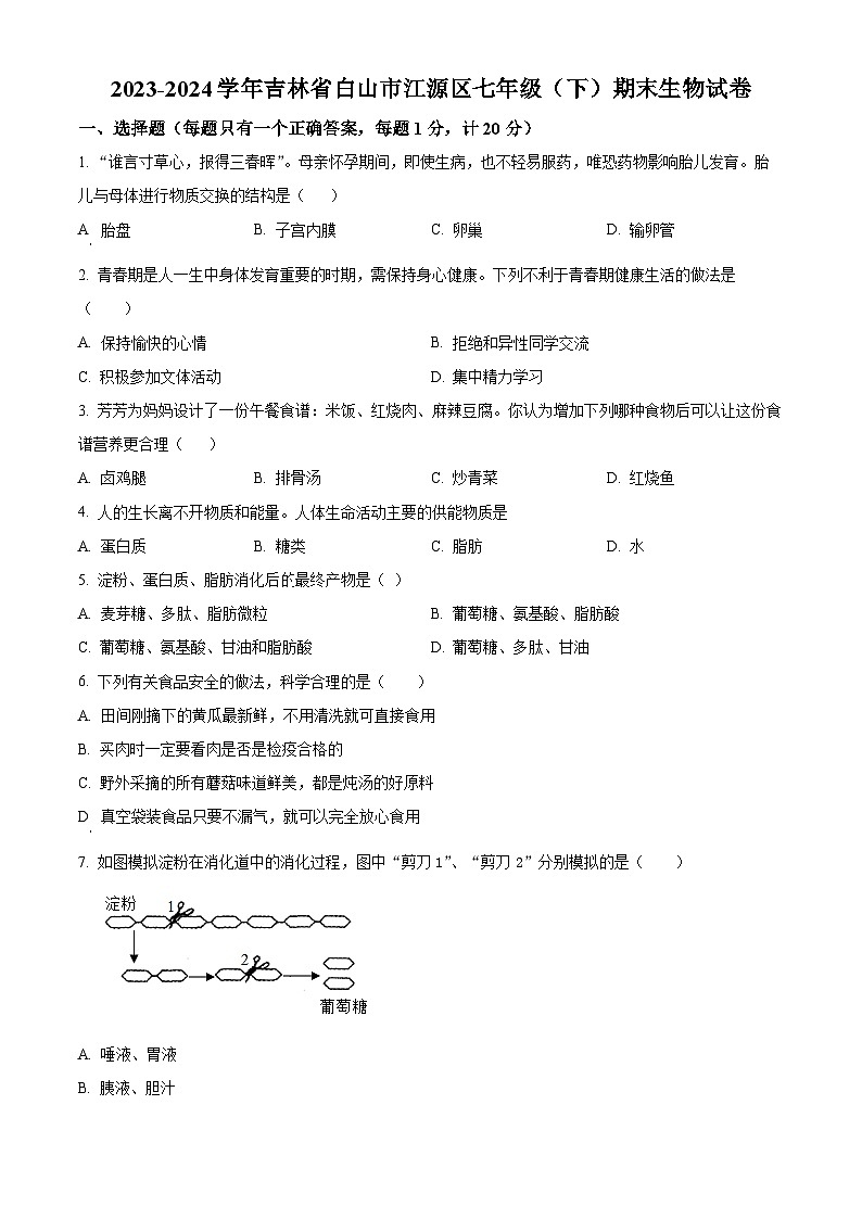 吉林省白山市江源区2023-2024学年七年级下学期期末生物学试题(原卷版)第1页