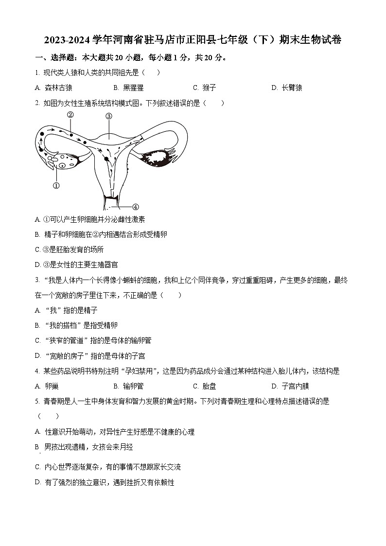 河南省駐馬店市正陽縣2023-2024學年七年級下學期期末生物學試題（原卷版）第1頁