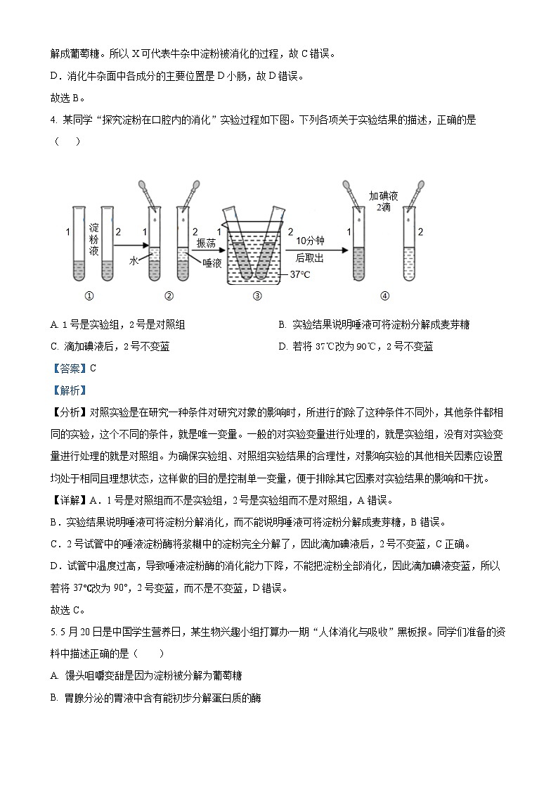广东省惠州市博罗县2023-2024学年七年级下学期期末生物学试题(解析版)第3页