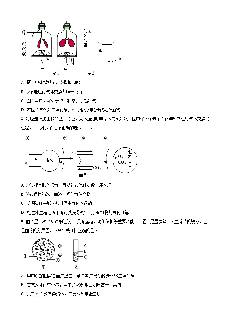 山东省德州市武城县2023-2024学年七年级下学期期末生物学试题(原卷版)第3页