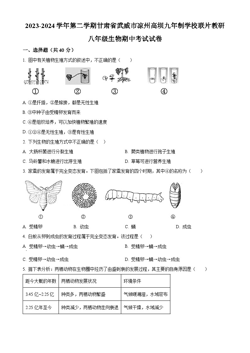 甘肃省武威市凉州区高坝中学联片教研2023-2024学年八年级下学期期中生物试题(原卷版)第1页