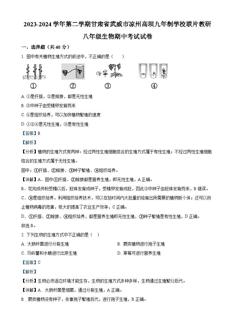 甘肃省武威市凉州区高坝中学联片教研2023-2024学年八年级下学期期中生物试题(解析版)第1页