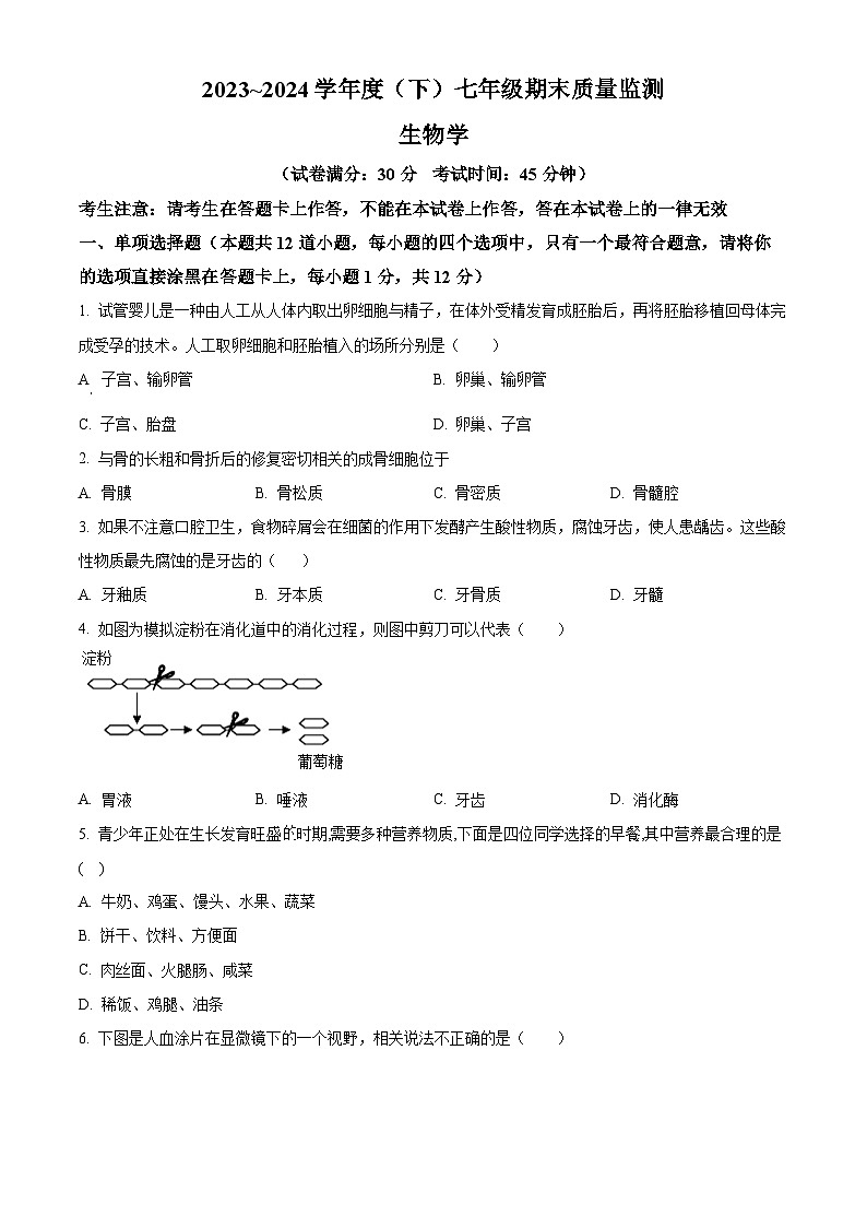 辽宁省沈阳市皇姑区2023-2024学年七年级下学期期末生物学试题(原卷版)01