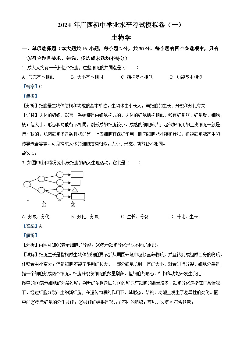 2024年广西崇左市宁明县城镇第一中学初中学业水平模拟考试生物试题(一)(解析版)第1页