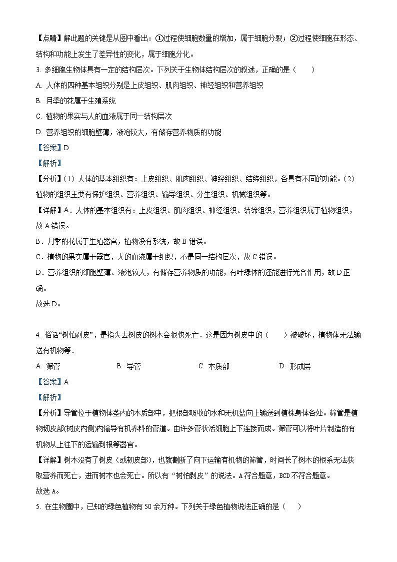 2024年广西崇左市宁明县城镇第一中学初中学业水平模拟考试生物试题(一)(解析版)第2页