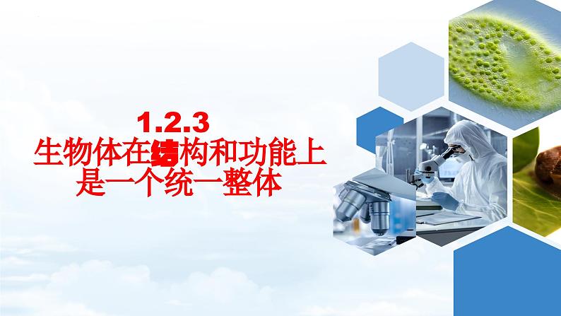 【新教材】济南版七年级生物上册第1单元第2章第3节生物体在结构和功能上是一个统一整体 课件第1页
