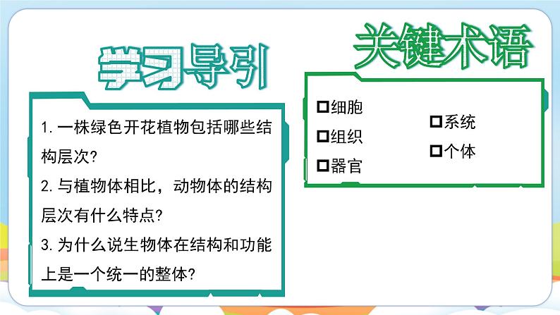 【新教材】济南版七年级生物上册第1单元第2章第3节生物体在结构和功能上是一个统一整体 课件第4页