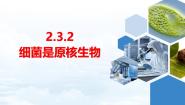 生物七年级上册（2024）第二单元 多彩的生命世界第三章 微生物可以分为病毒、细菌和真菌第二节 细菌是原核生物精品ppt课件