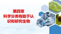 济南版(2024)七年级上册(2024)第一节 依据生物的特征进行分类优质课件ppt
