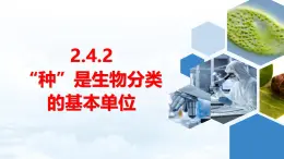 【新教材】济南版七年级生物上册第2单元第4章第2节“种”是生物分类的基本单位 课件