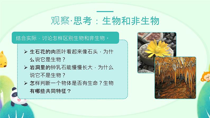 人教版(2024)初中生物学七年级上册1.1.2《生物的特征》课件+教案+学案+分层练习04