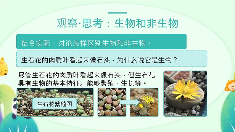 人教版(2024)初中生物学七年级上册1.1.2《生物的特征》课件+教案+学案+分层练习05