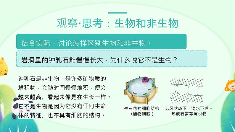 人教版(2024)初中生物学七年级上册1.1.2《生物的特征》课件+教案+学案+分层练习06