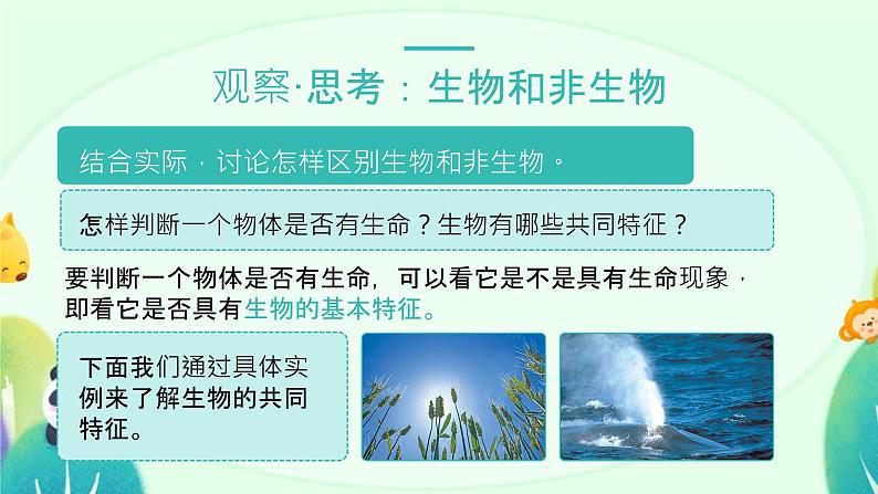 人教版(2024)初中生物学七年级上册1.1.2《生物的特征》课件+教案+学案+分层练习07