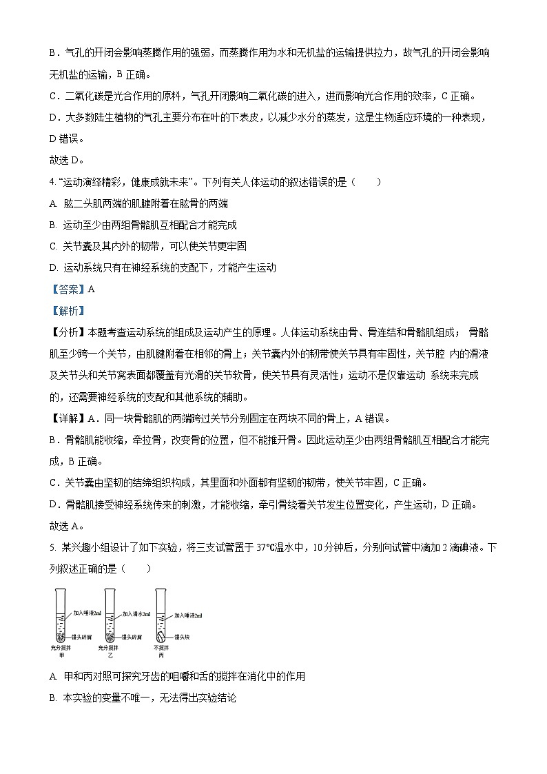 2024年山东省滨州市滨城区中考一模生物试题(原卷版+解析版)03