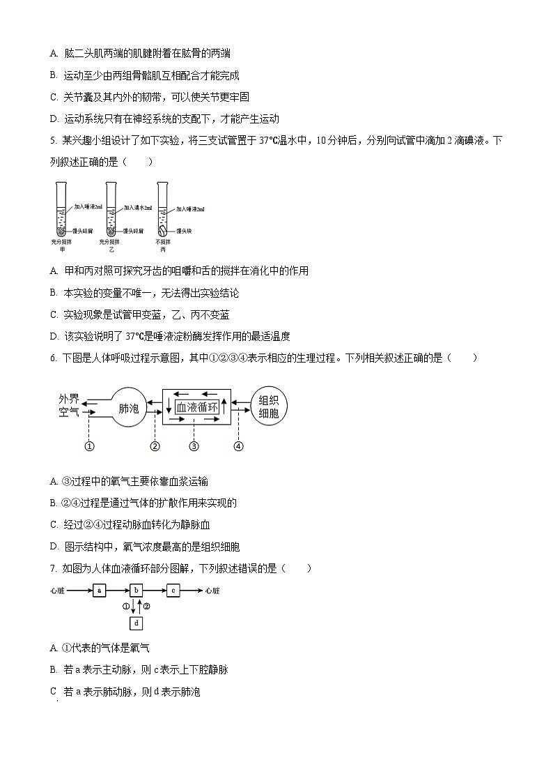 2024年山东省滨州市滨城区中考一模生物试题(原卷版+解析版)02