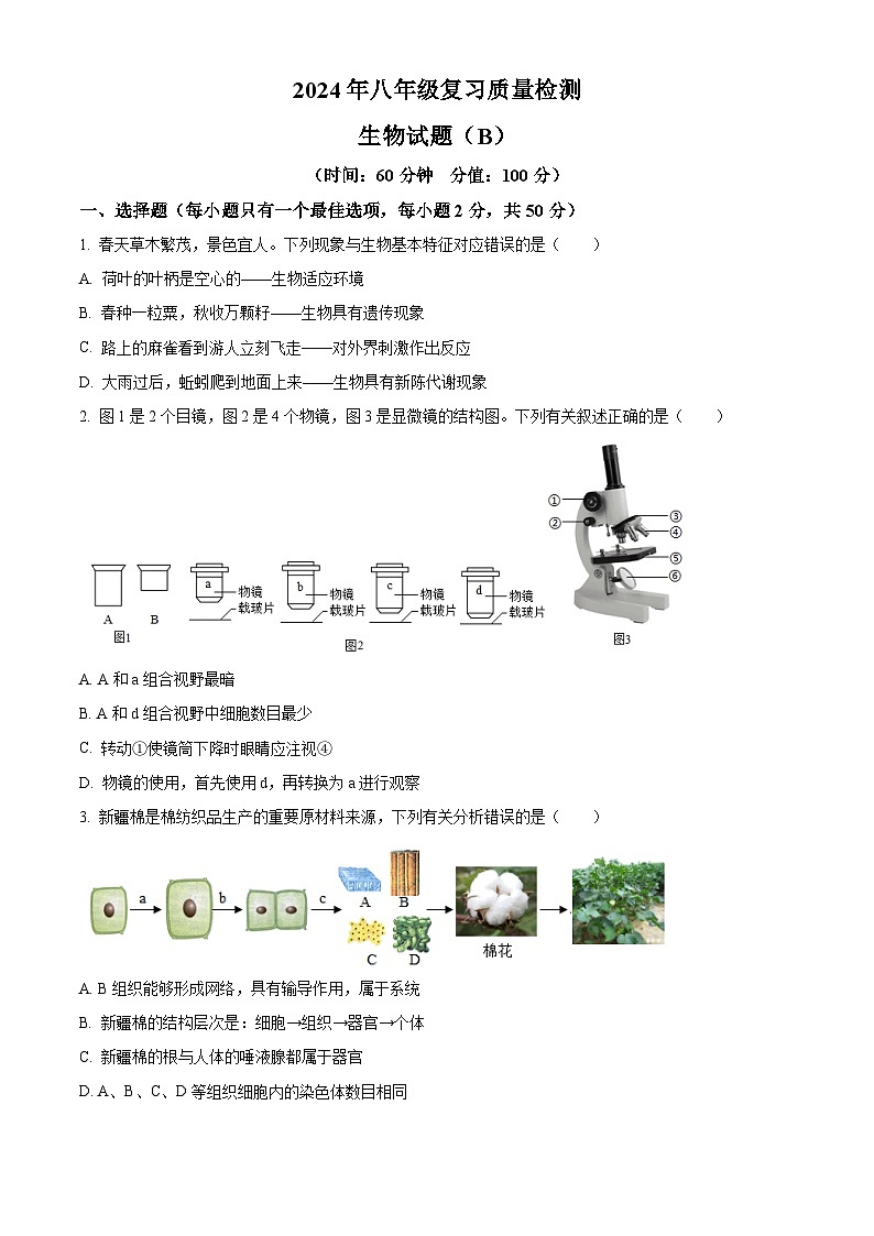 2024年山东省滨州市滨城区中考二模生物试题(原卷版+解析版)01
